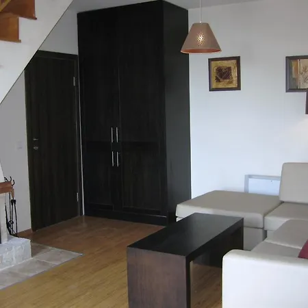 Chamkoria * ボロヴェッツ