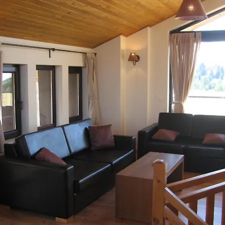 リゾート Chamkoria ボロヴェッツ