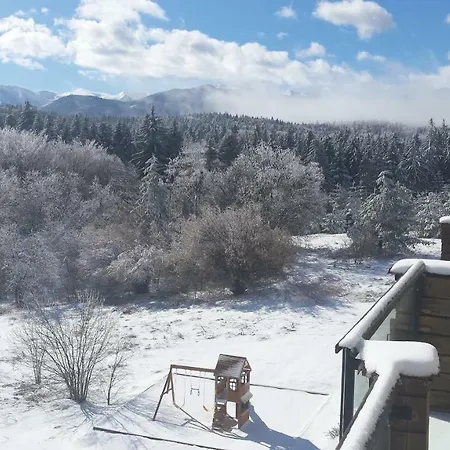 リゾート Chamkoria ボロヴェッツ